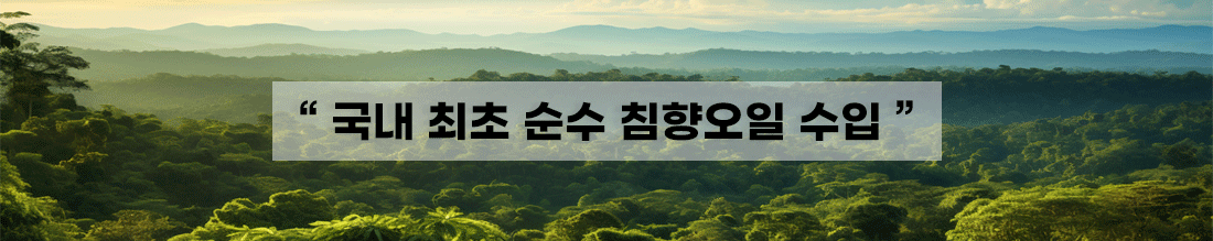 침향오일 최초 수입 안내