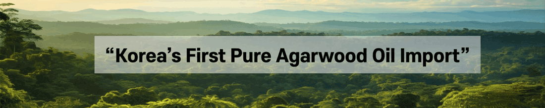 First Import of Agarwood Oil