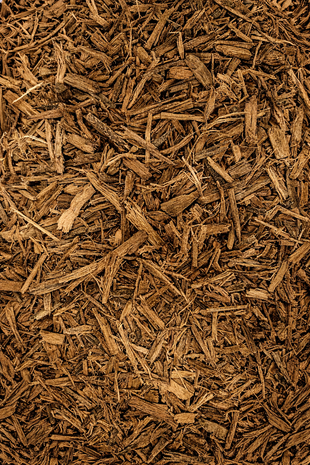 침향원물 파쇄 이미지