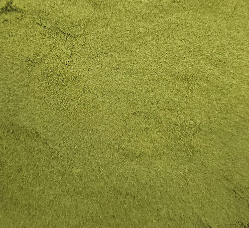 녹차색상 비살균