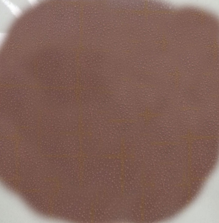 녹차대장균 살균