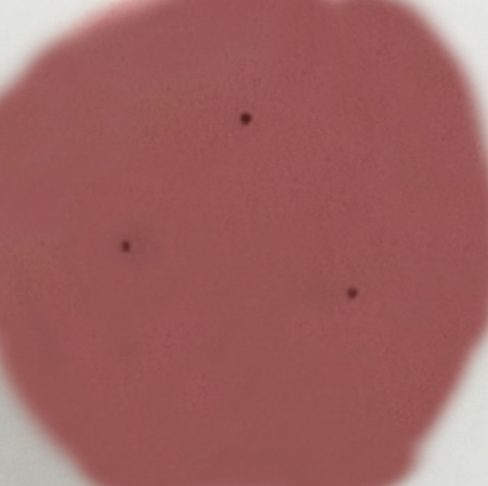 녹차대장균 비살균